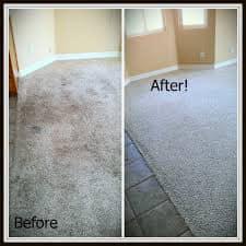 Hiring the Right Carpet Cleaner Makes the difference