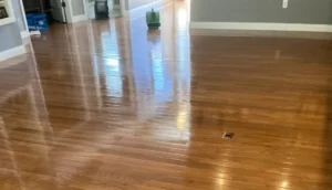 Tips And Tricks To Get Great Florissant Mo Hardwood Floor Cleaning UltraSteam Carpet Cleaning