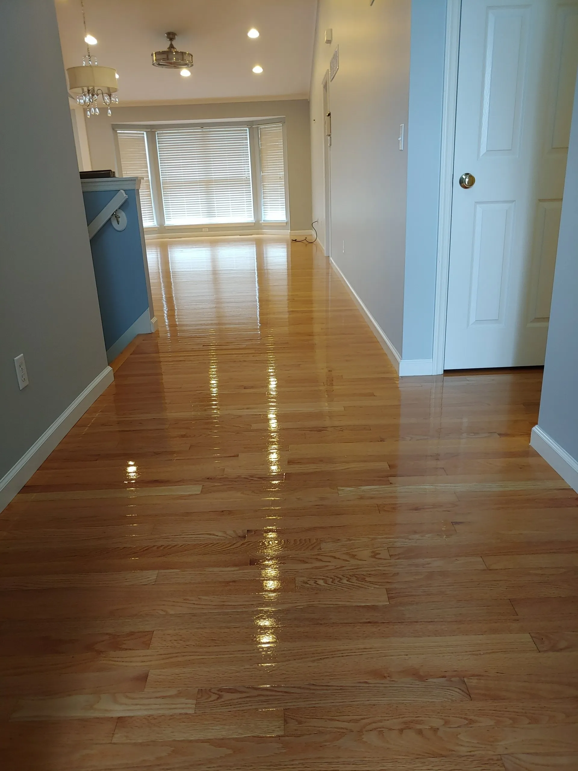 UltraSteamHardwoodFloorCleaningSt.LouisMOCollinsvilleIL02-1920w.webp UltraSteamHardwoodFloorCleaningSt.LouisMOCollinsvilleIL02-1920w.webp