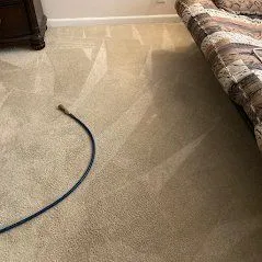 The Importance of Carpet Cleaning in St. Louis, MO UltraSteam Carpet Cleaning