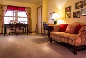 The Best Florissant MO Carpet Cleaning UltraSteam Carpet Cleaning
