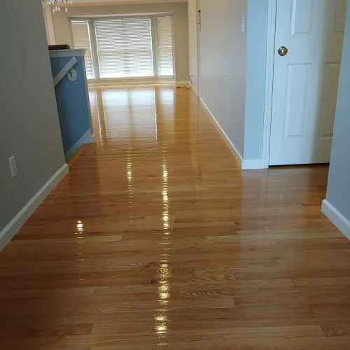 Hardwood Floor Cleaning UltraSteam Carpet Cleaning